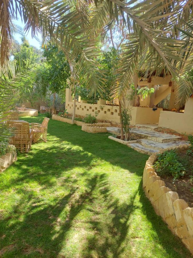 Nour El Waha Hotel Siwa Oasis Exterior photo